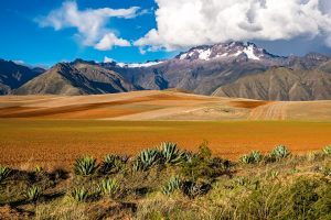 bolivie