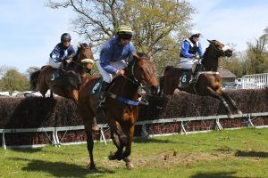 courses chevaux