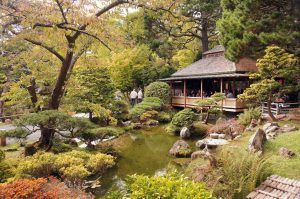 golden gate garden