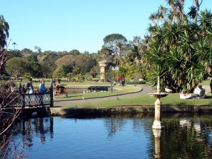 jardin botanique sydney