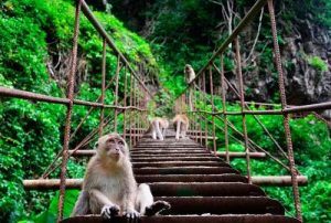 parc national sirinat