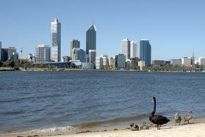 swan river