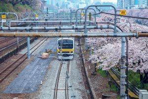 train japonais