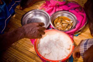 ugali